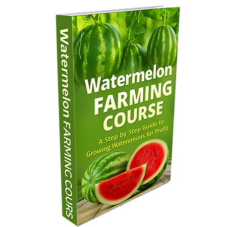 Watermelon Growing Guide