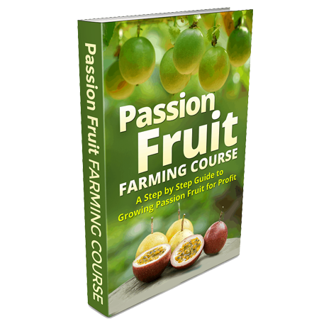Passion Fruit Growing Guide