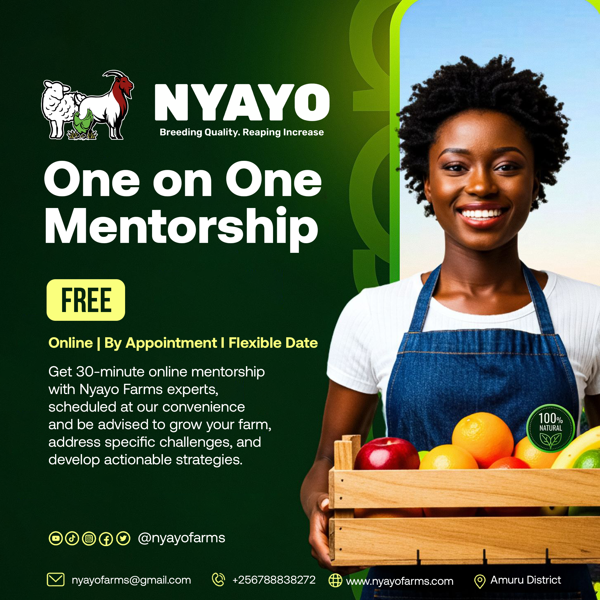 One-on-One Mentorship